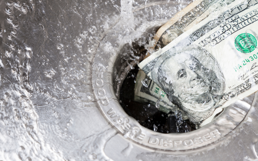 Bipolar II and the Money Drain—Beware Snake Oil.