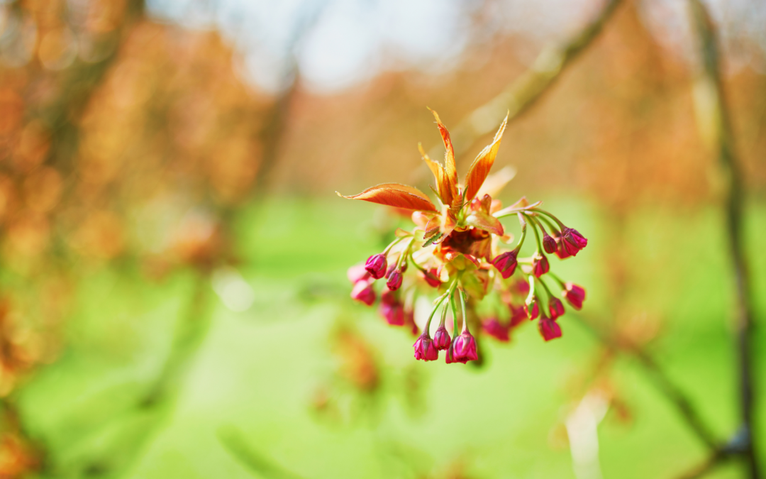 Glimmers of life again