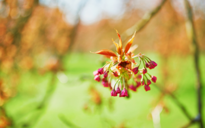 Glimmers of life again