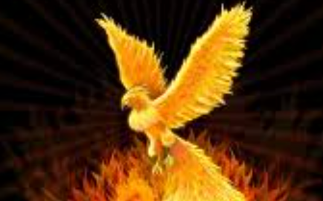 phoenix rising