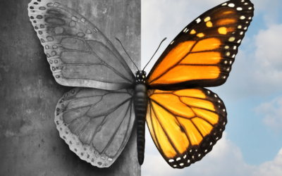 Bipolar Lurks Under the Surface Threatening All