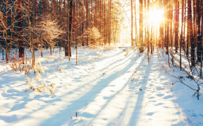 How Bipolar II Disorder Affects Daily Life: Notes From A Winter Day