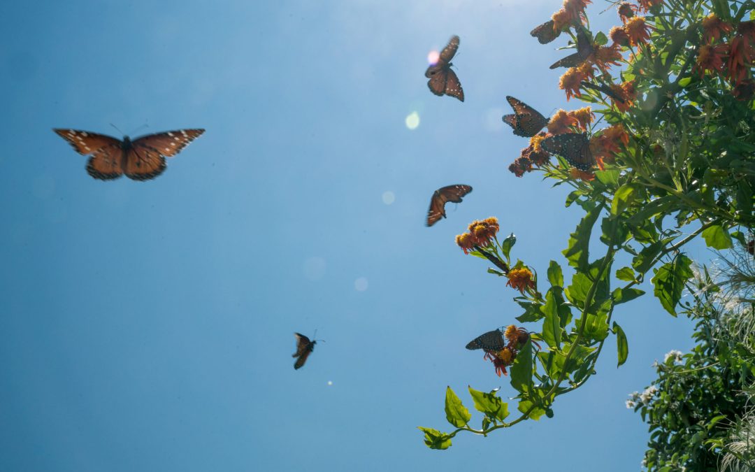 It’s World Mental Health Day: What Does that Mean?