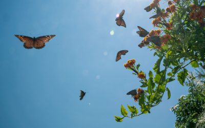 It’s World Mental Health Day: What Does that Mean?